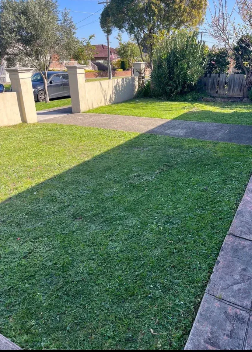 Lawn mowing in Kew