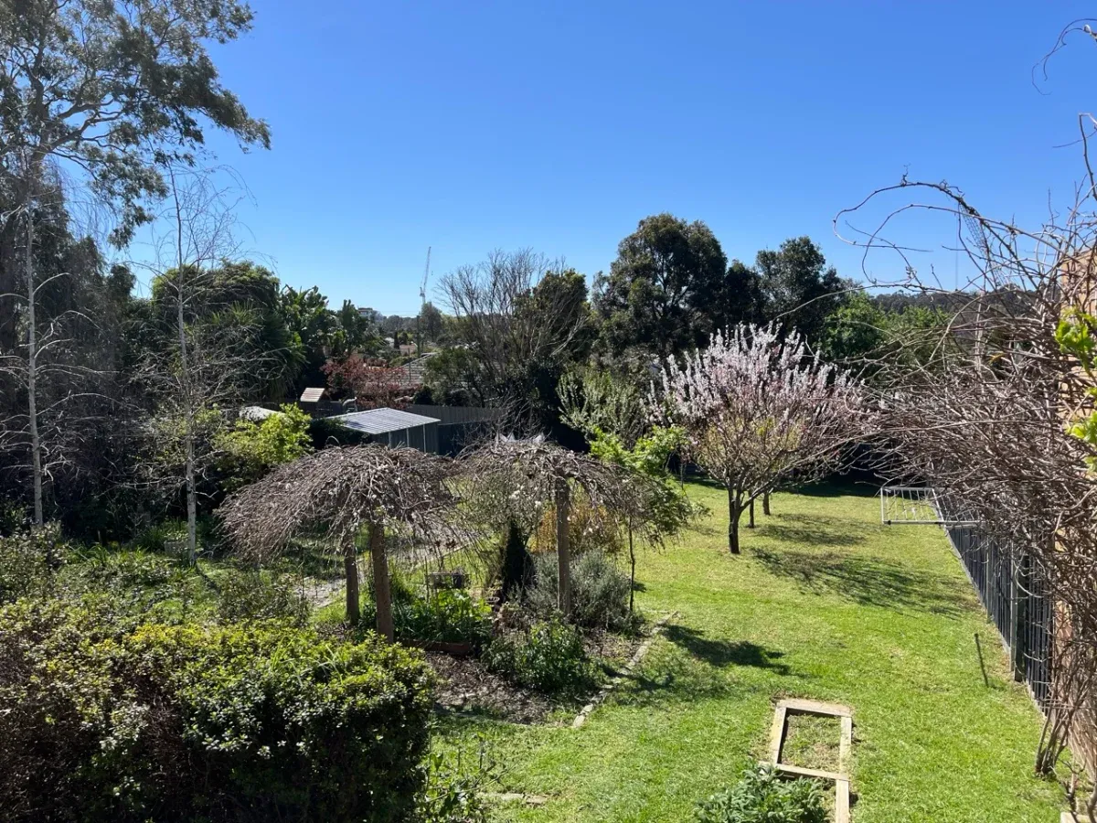 Garden tidy up in Rosanna